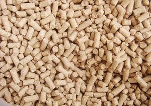 選擇玉米秸稈飼料顆粒機(jī)廠家不能忽略這幾個(gè)問(wèn)題