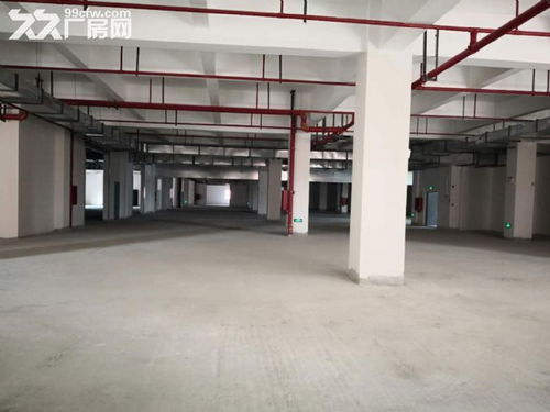 上海新建標(biāo)準(zhǔn)食品產(chǎn)業(yè)園 現(xiàn)代化飼料生產(chǎn)的理想之選