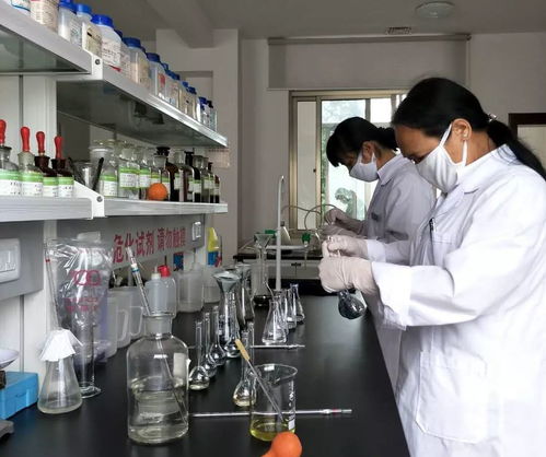 讓創新，讓夢想騰飛——順豐工程技術中心的“娘子軍”一直在奮斗